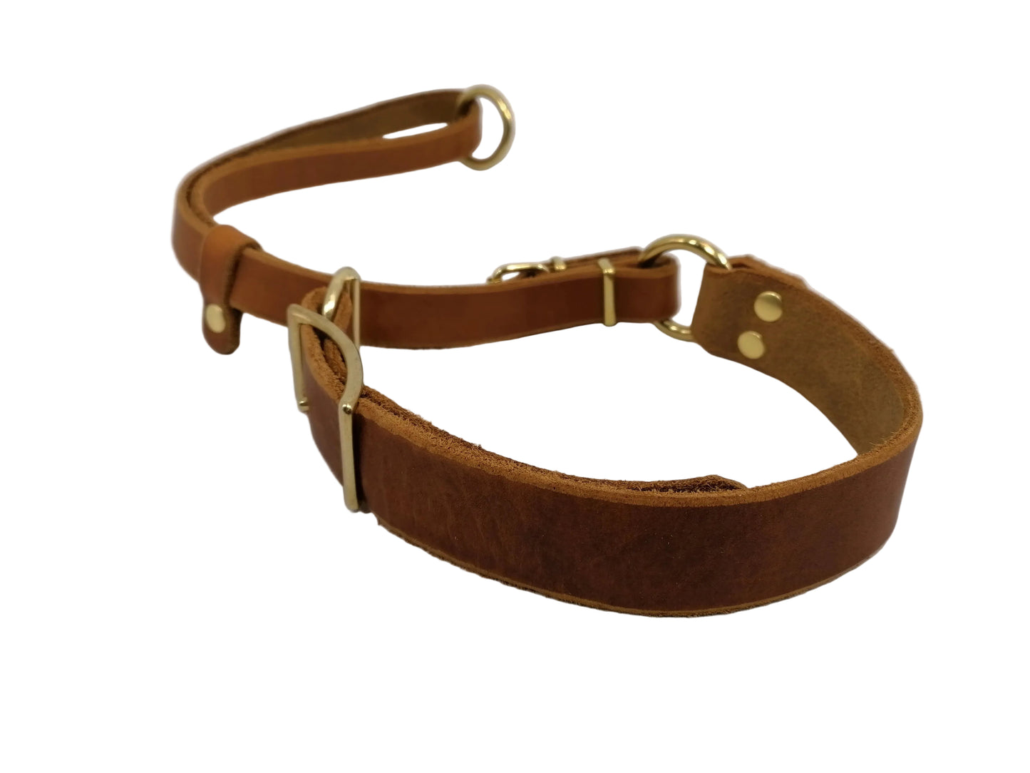"Xaro" Halsband, Ickler Halsung, Jagdhalsung, Fettleder, Zugstopp, verstellbar, Leder, Hund
