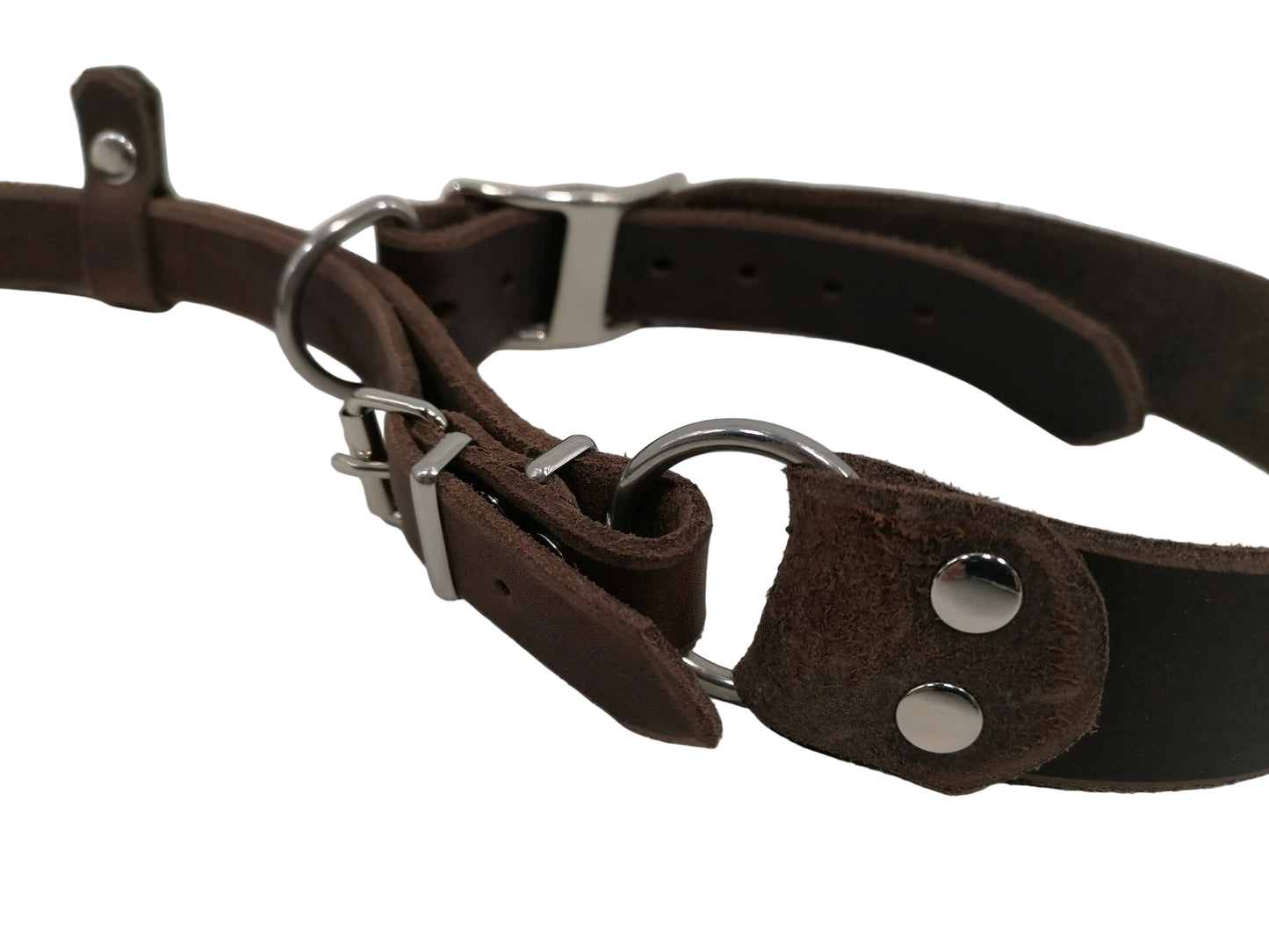 "Xaro" Halsband, Ickler Halsung, Jagdhalsung, Fettleder, Zugstopp, verstellbar, Leder, Hund