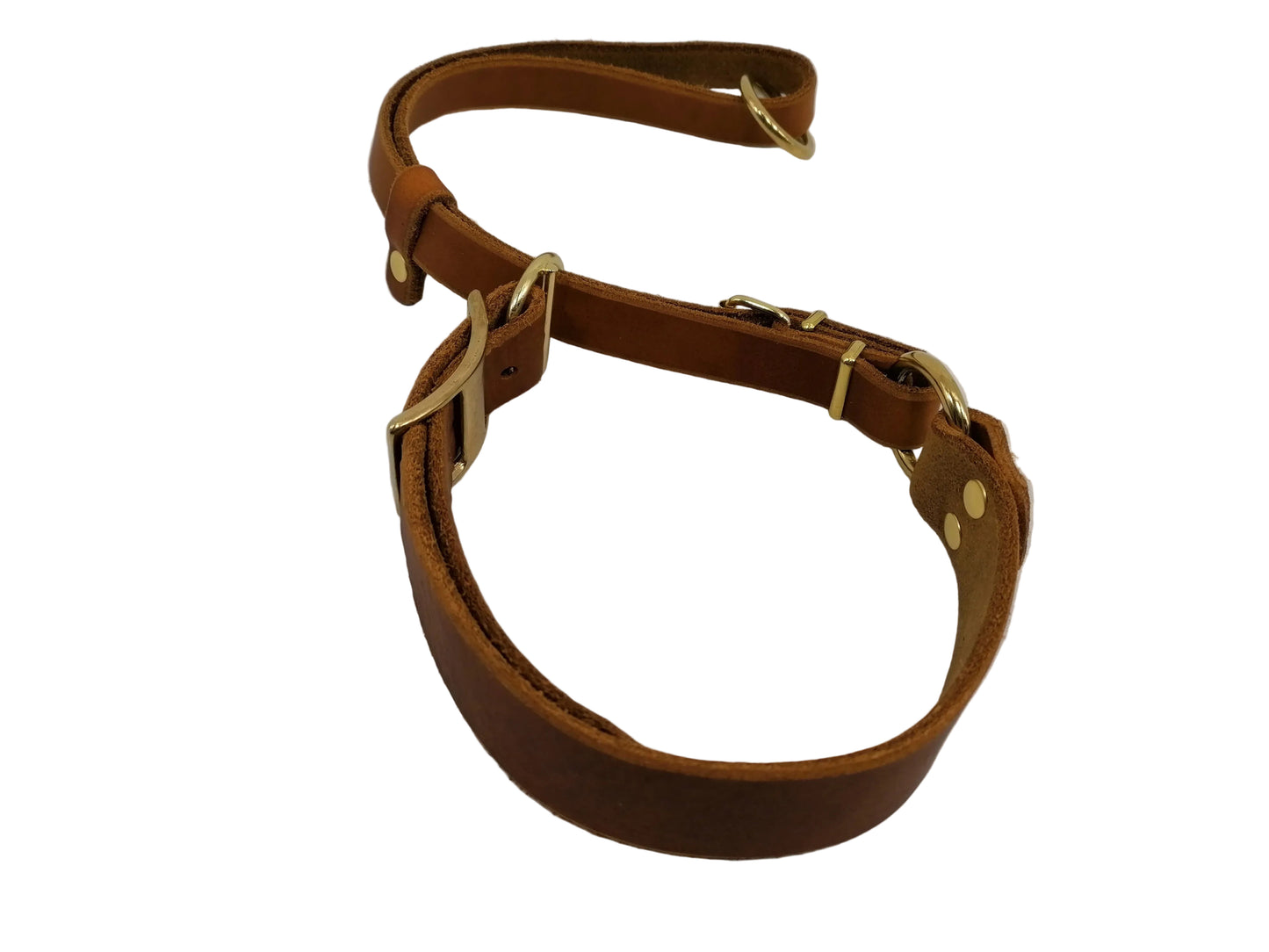 "Xaro" Halsband, Ickler Halsung, Jagdhalsung, Fettleder, Zugstopp, verstellbar, Leder, Hund