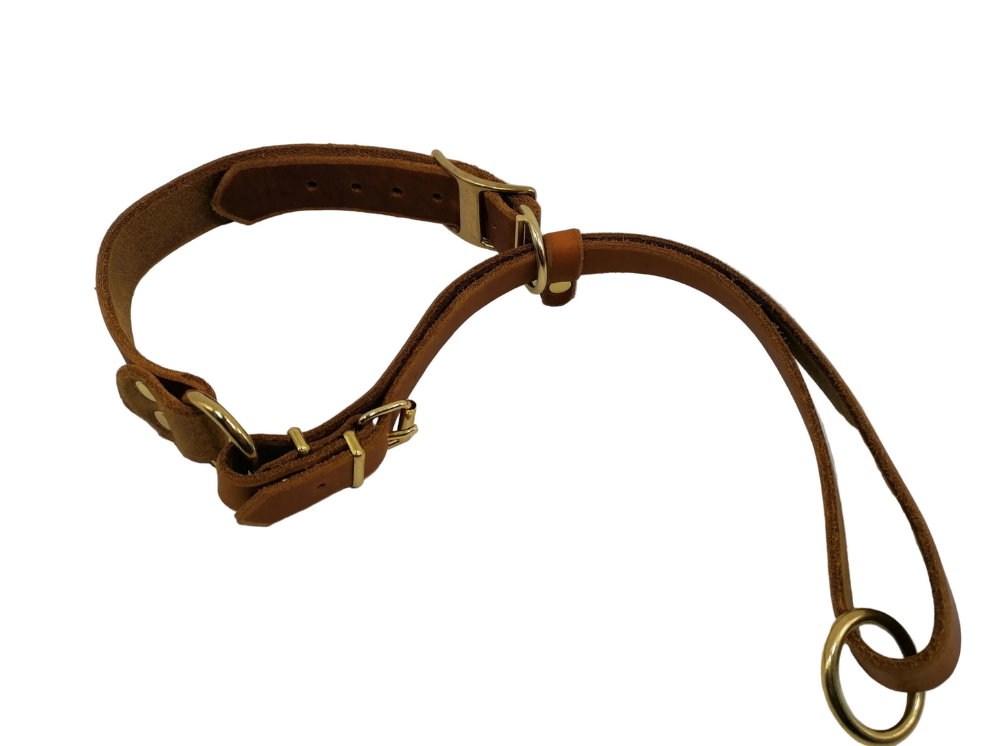 "Xaro" Halsband, Ickler Halsung, Jagdhalsung, Fettleder, Zugstopp, verstellbar, Leder, Hund