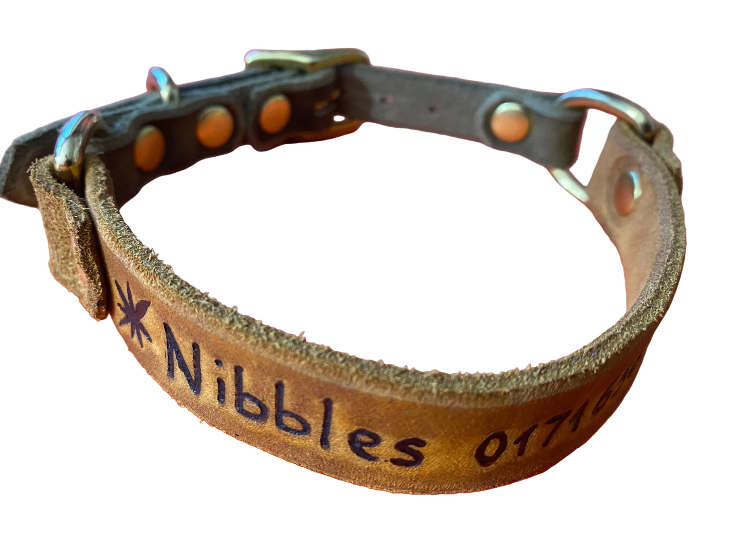 Gravur auf Halsband
