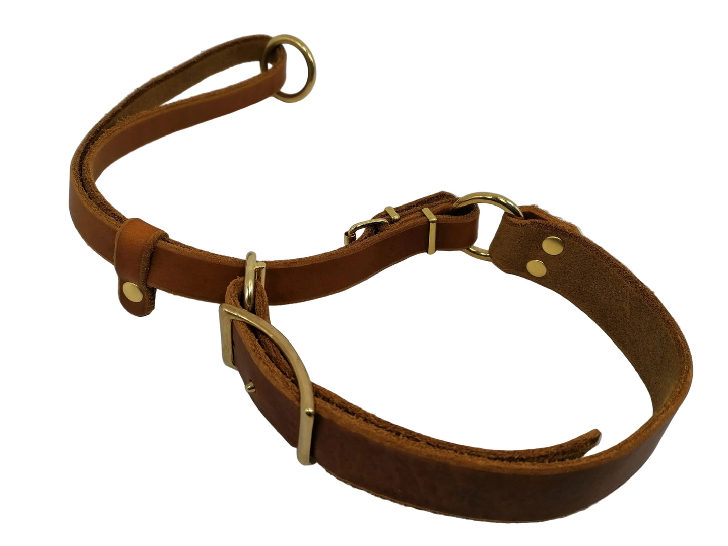 "Xaro" Halsband, Ickler Halsung, Jagdhalsung, Fettleder, Zugstopp, verstellbar, Leder, Hund