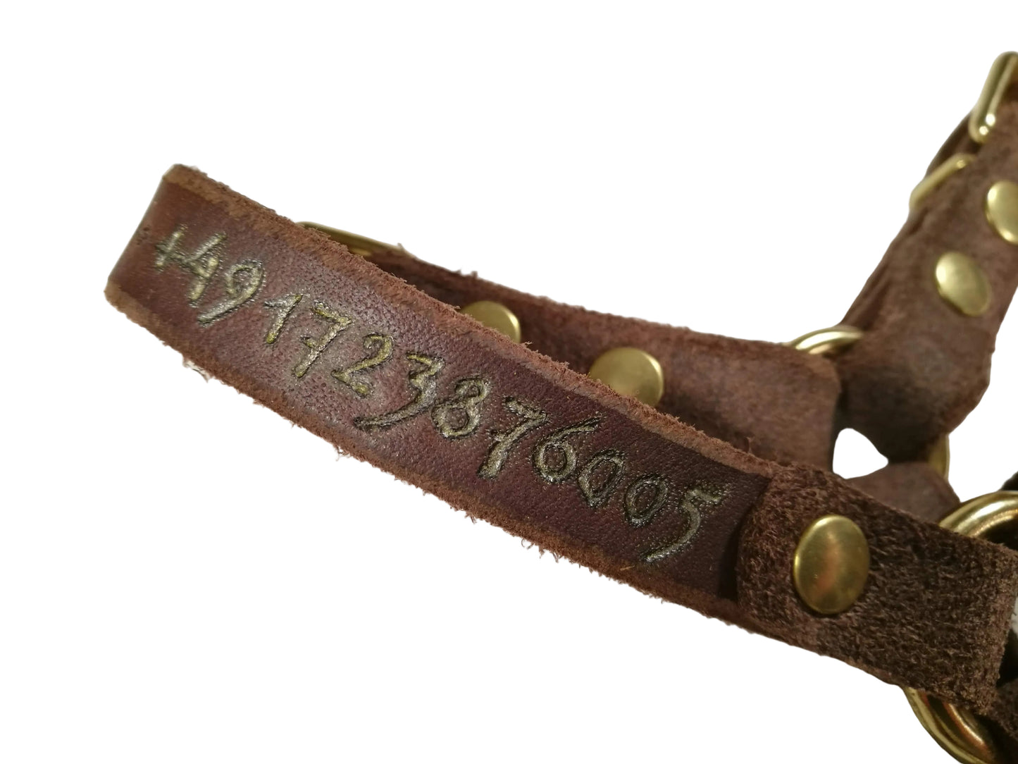 Gravur auf Halsband