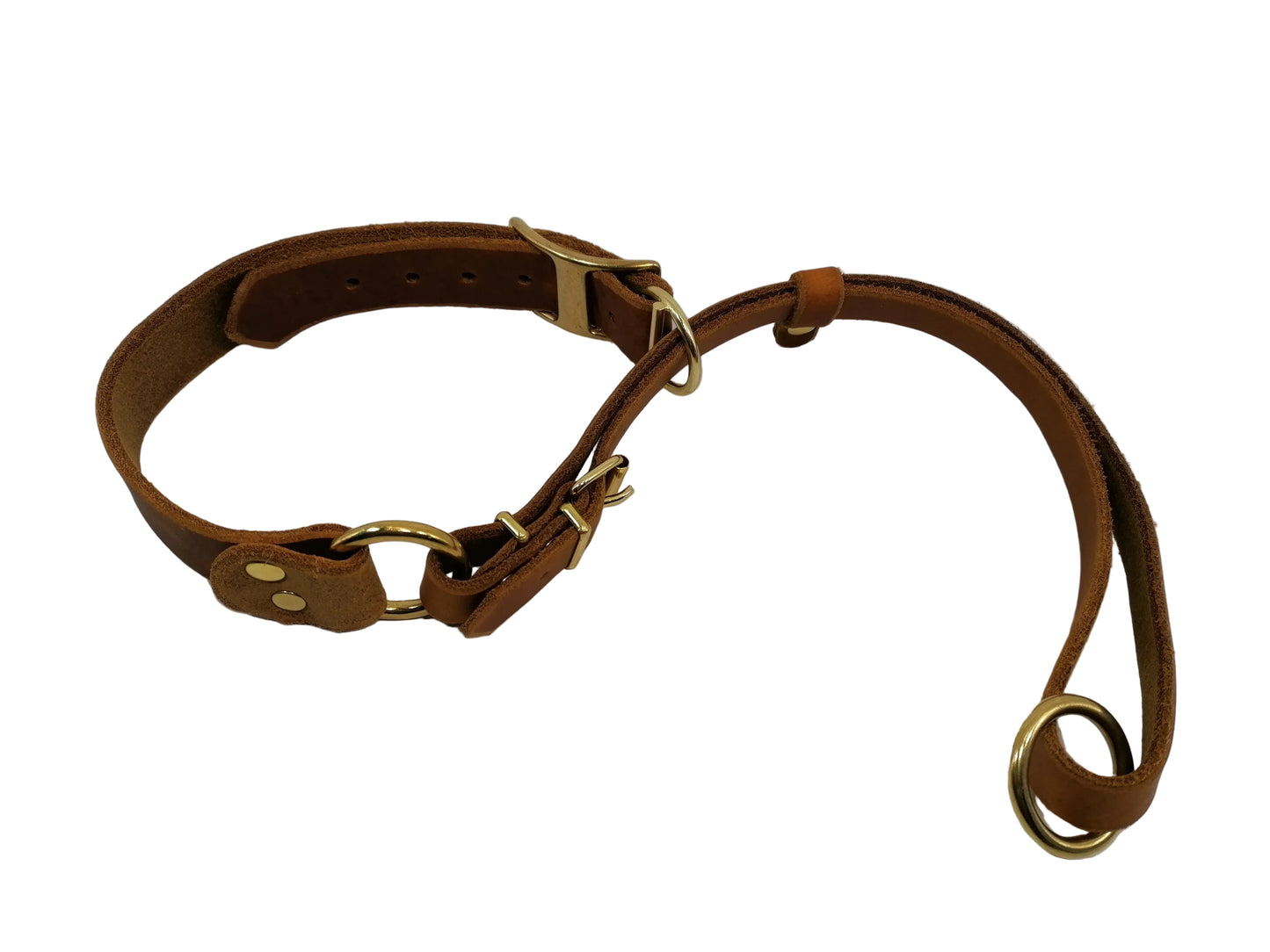 "Xaro" Halsband, Ickler Halsung, Jagdhalsung, Fettleder, Zugstopp, verstellbar, Leder, Hund