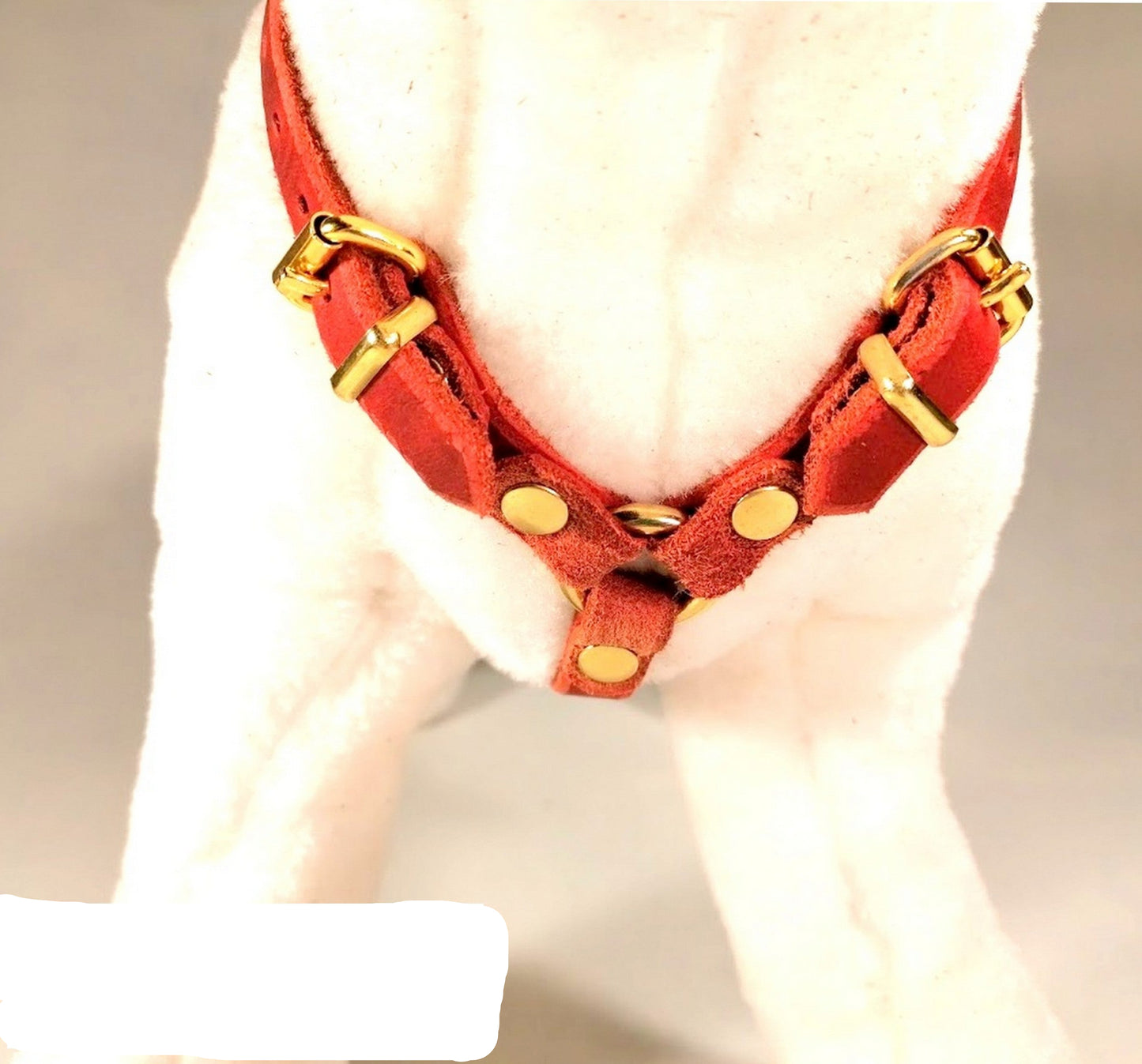 Brustgeschirr, Hundegeschirr, Ledergeschirr, Leder, Fettleder, Hund