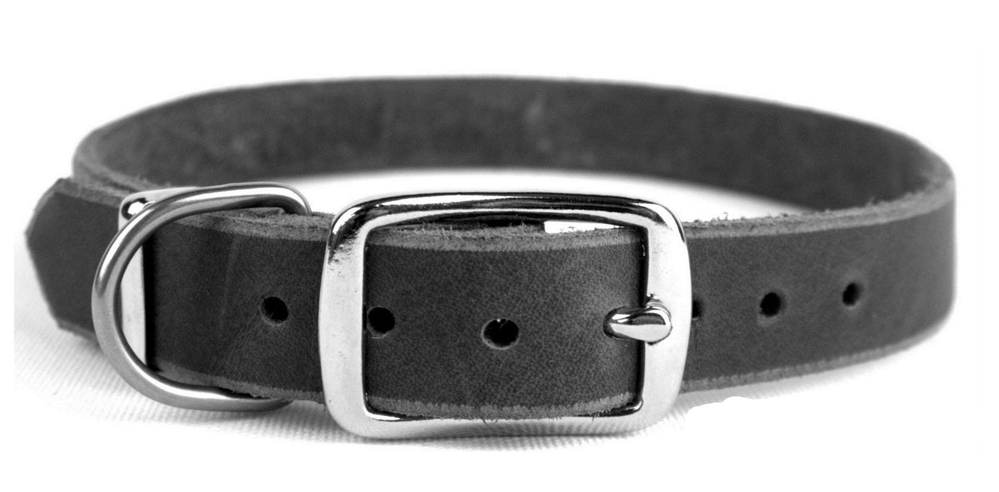 "Leo", ganz schlicht, Halsband, Fettleder, Leder, Hund
