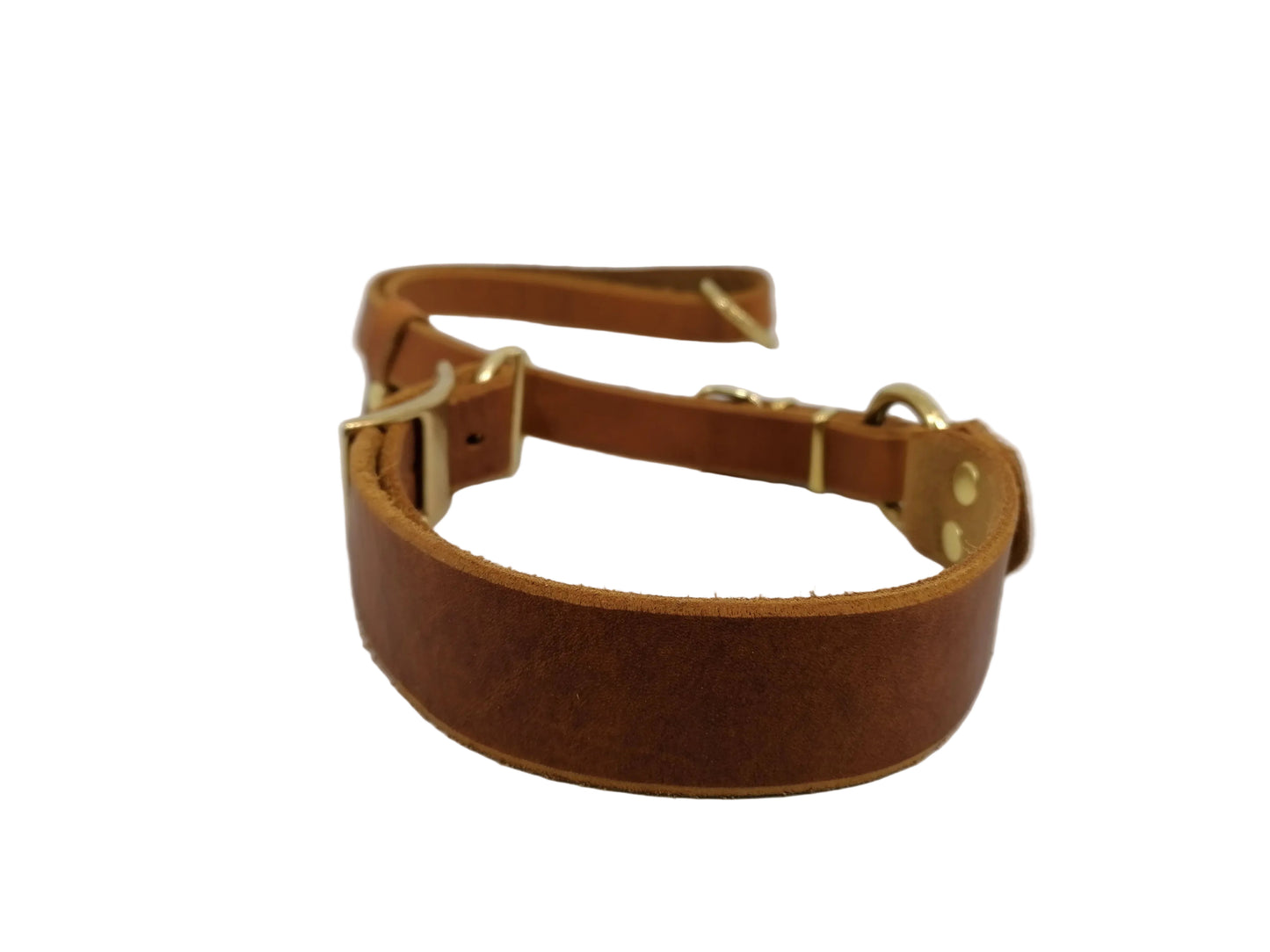 "Xaro" Halsband, Ickler Halsung, Jagdhalsung, Fettleder, Zugstopp, verstellbar, Leder, Hund