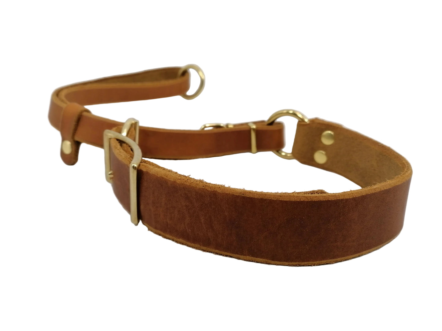 "Xaro" Halsband, Ickler Halsung, Jagdhalsung, Fettleder, Zugstopp, verstellbar, Leder, Hund