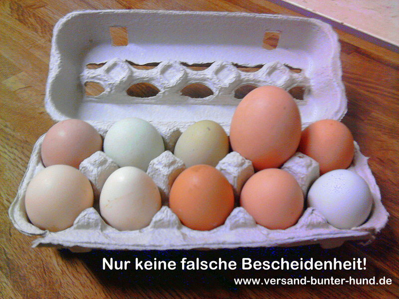 Extrawünsche