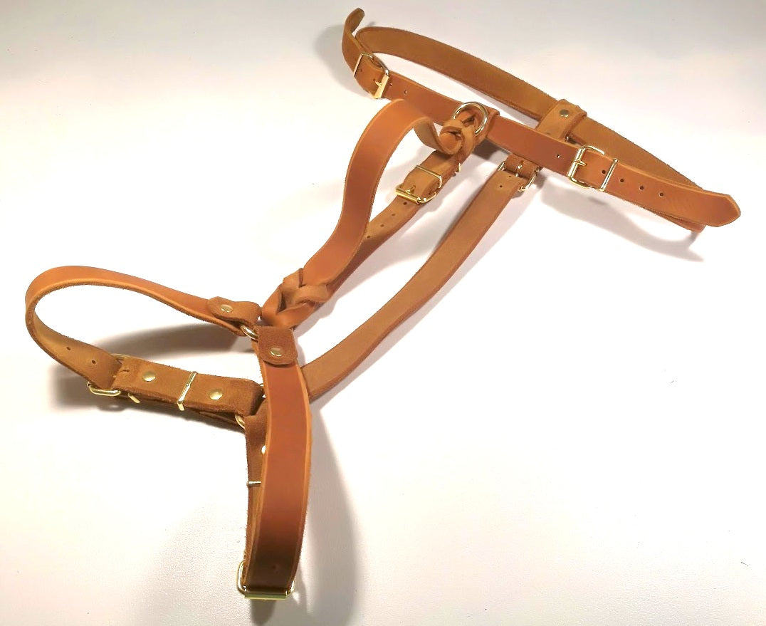Sonderanfertigungen Fettleder, Leine Fettleder Leder geflochten Hundeleine Halsband Geschirr Hund