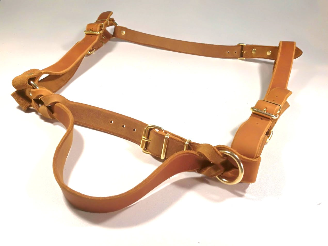 Sonderanfertigungen Fettleder, Leine Fettleder Leder geflochten Hundeleine Halsband Geschirr Hund