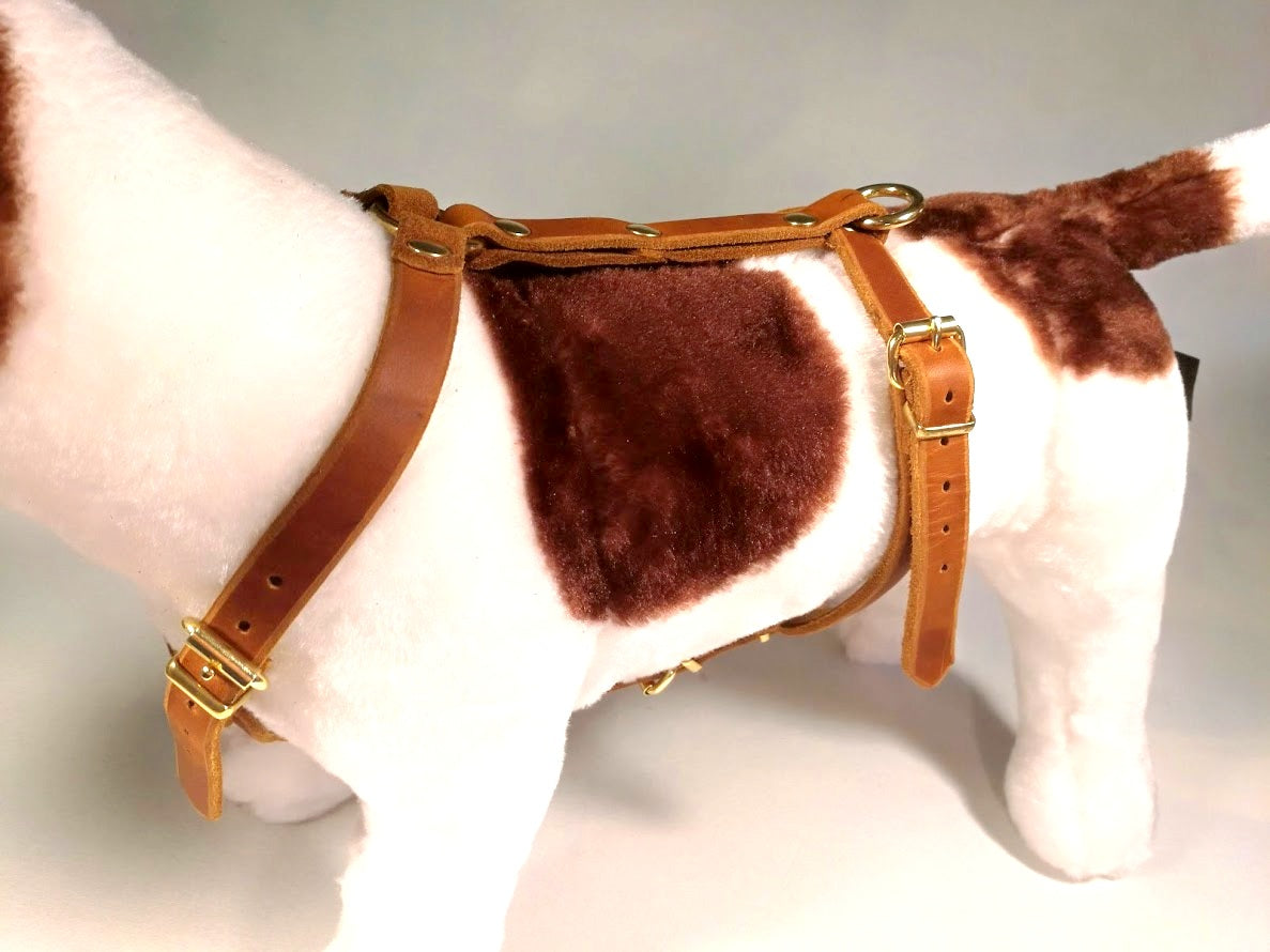 Brustgeschirr, Hundegeschirr, Ledergeschirr, Leder, Fettleder, Hund