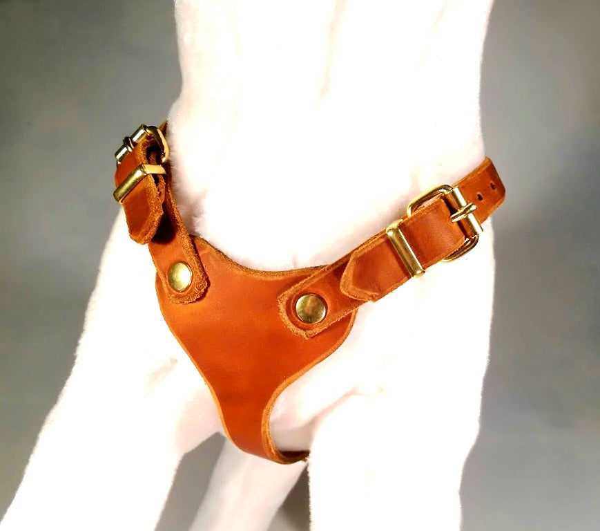 Brustgeschirr, Hundegeschirr, Ledergeschirr, Leder, Fettleder, Hund