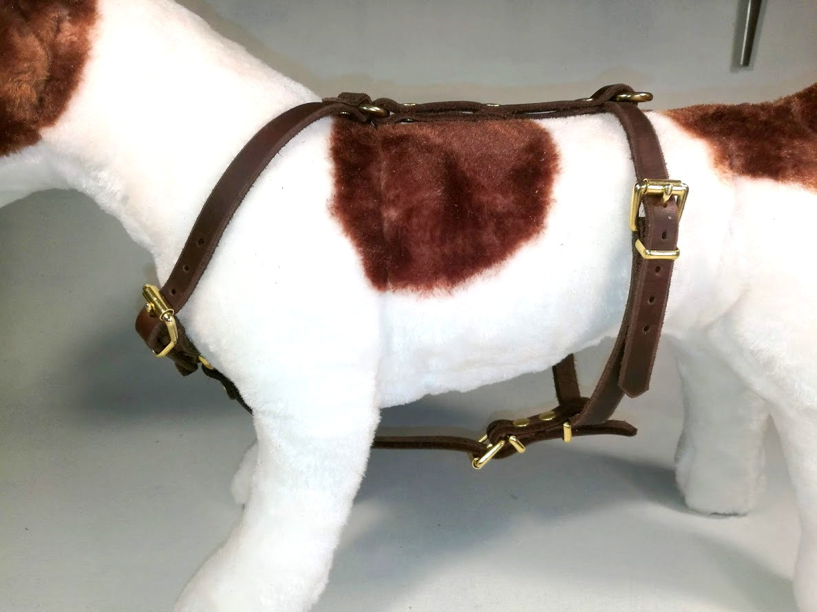Brustgeschirr, Hundegeschirr, Ledergeschirr, Leder, Fettleder, Hund