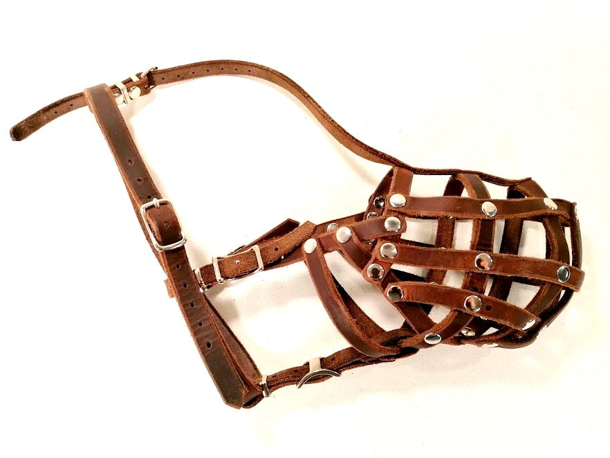 Sonderanfertigungen Fettleder, Leine Fettleder Leder geflochten Hundeleine Halsband Geschirr Hund