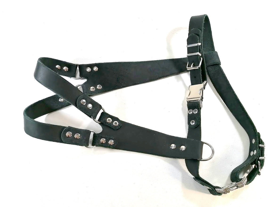 Sonderanfertigungen Fettleder, Leine Fettleder Leder geflochten Hundeleine Halsband Geschirr Hund