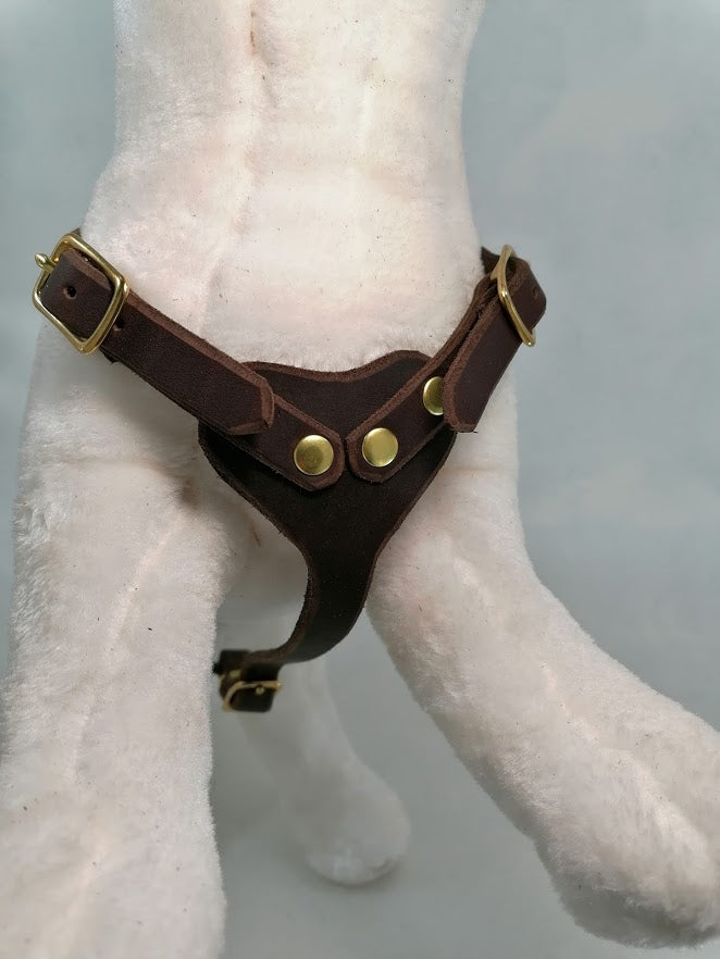 Brustgeschirr, Hundegeschirr, Ledergeschirr, Leder, Fettleder, Hund