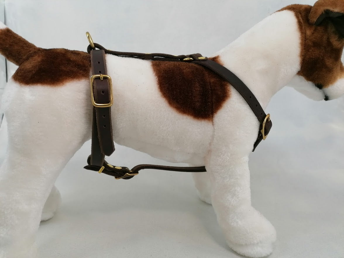 Brustgeschirr, Hundegeschirr, Ledergeschirr, Leder, Fettleder, Hund
