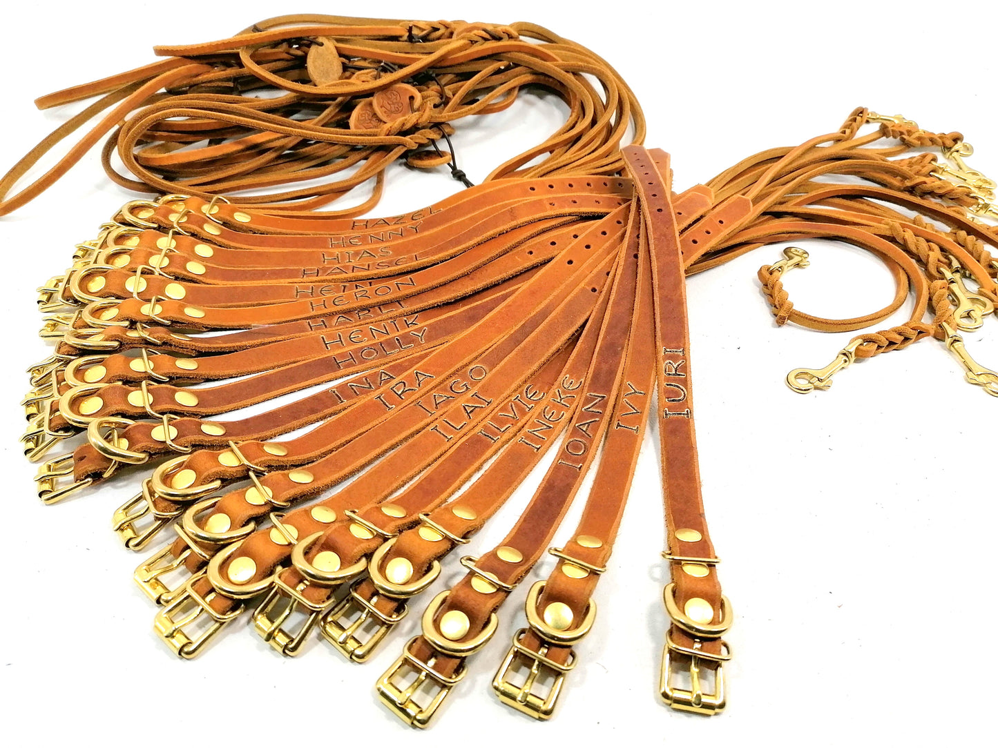 "Leo", ganz schlicht, Halsband, Fettleder, Leder, Hund
