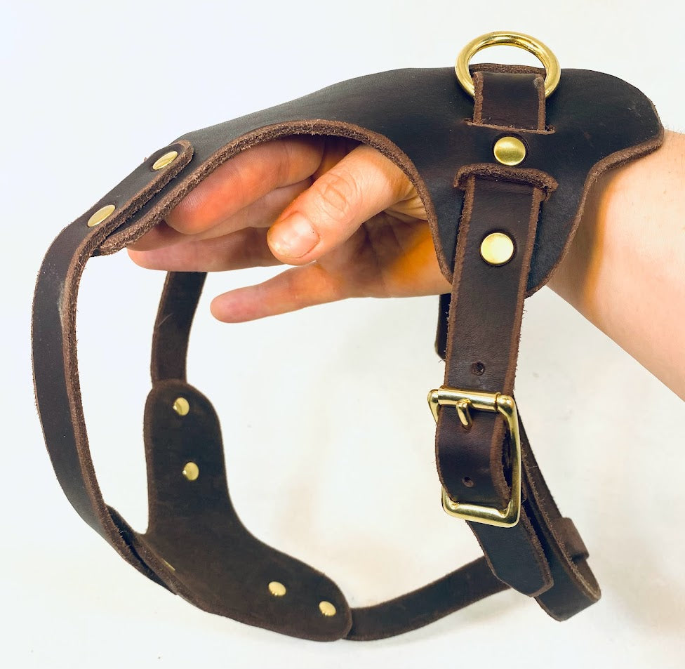 Brustgeschirr, Hundegeschirr, Ledergeschirr, Leder, Fettleder, Hund