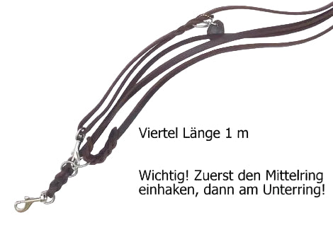 4 m, dreifach verstellbar, mit Handschlaufe, Leine Leder Fettleder geflochten, Hundeleine