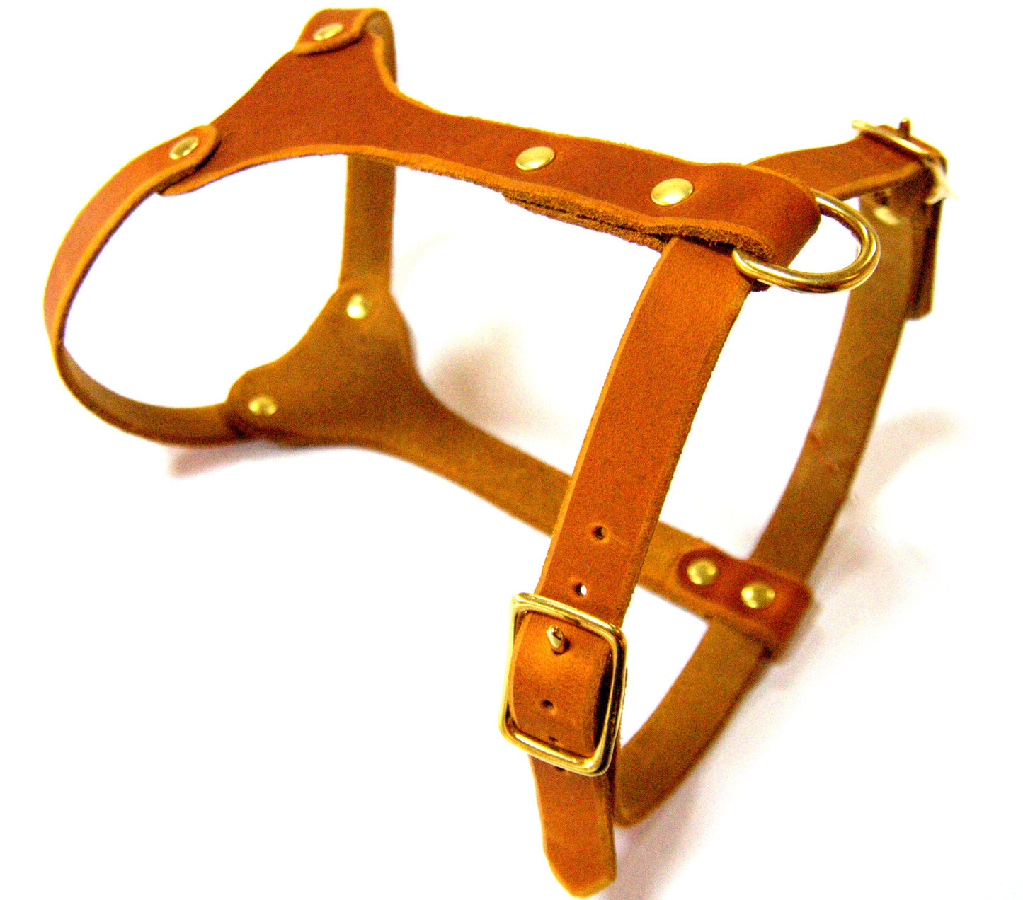 Brustgeschirr, Hundegeschirr, Ledergeschirr, Leder, Fettleder, Hund